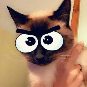 Meet your Posher, Alexandra